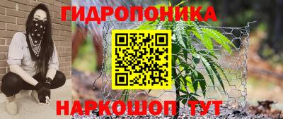шишки Ливны