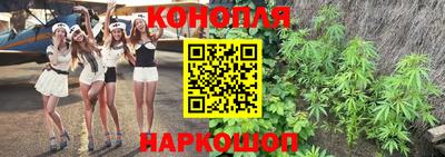 шишки Ливны