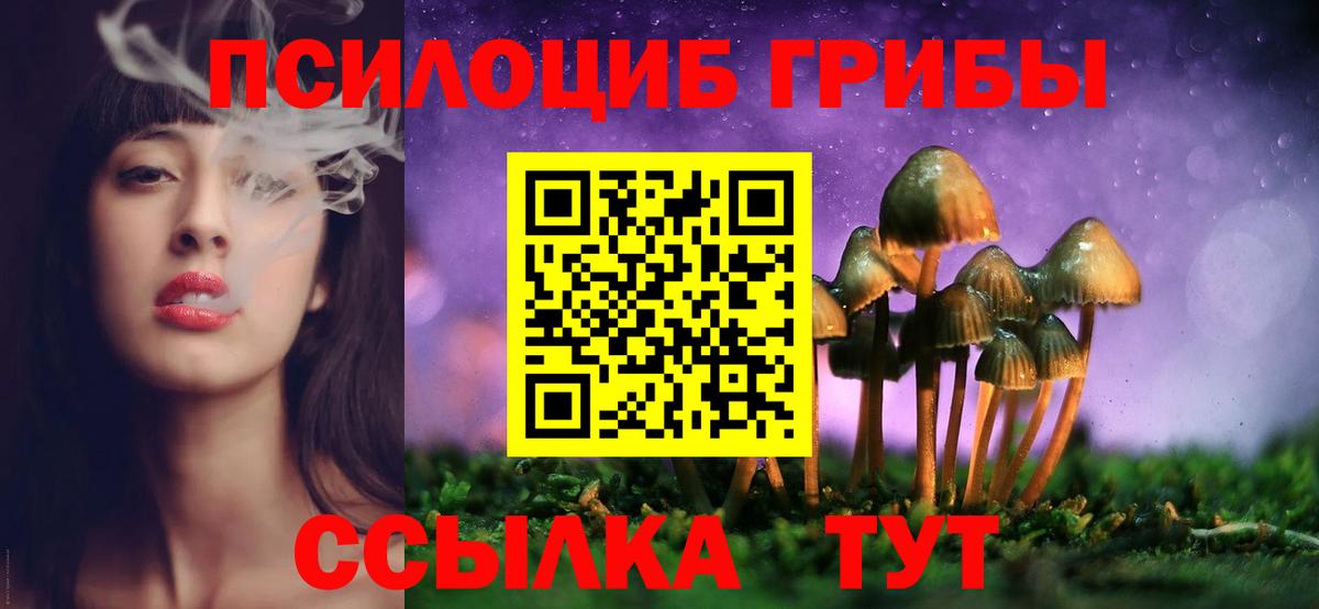 Псилоцибиновые грибы Psilocybe Бугуруслан